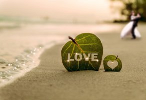 листья,волна,свадьба,сердце,буквы,пара,песок,love,берег