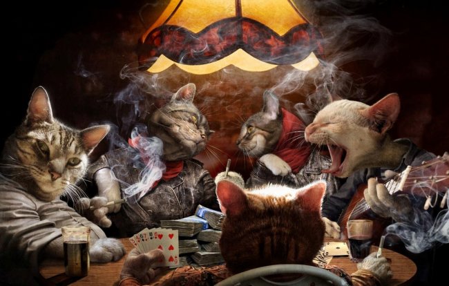 коты,карты,играют,торшер,покер,сигареты