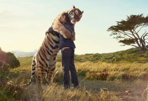 обнимаются,человек,друзья,тигр