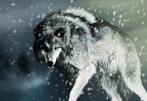 волк,рендеринг,снег