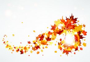 осень,листья,ветер,свечение