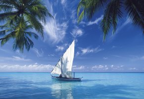 пальмы,рай,лодка