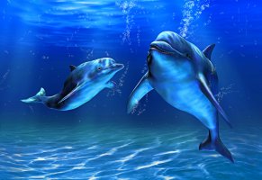 дельфины,подводные,обитатели, ,море