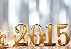новогодние,зима 2015,праздники,новый год 2015,год овцы,с новым годом