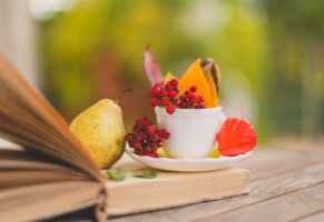 осень,чашка,листья,доски,рябина,фрукт,груша,физалис,книга,ягоды