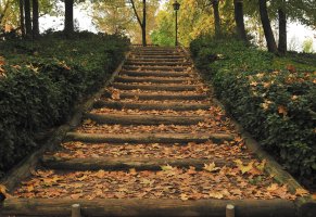 парк,лестница,кусты,осень,фонарь,листья