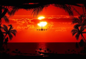 sunset,sky,aircraft,trees