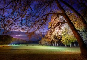 деревья,парк,газон,ночь
