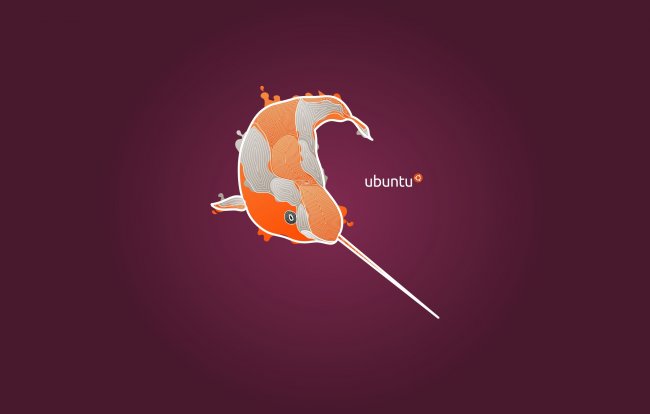 ubuntu,linux,narval