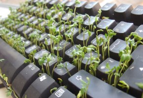 клавиатура,трава,запущено все