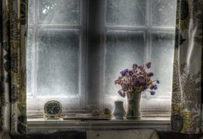часы,цветы,окно