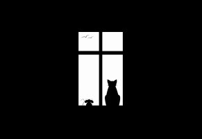 окно,friendship,кот,друзья,птицы,мышь