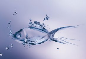fish,рыба,bubbles,water,made,figure,minimalism