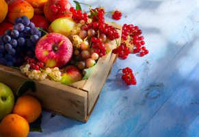 фрукты,смородина,виноград,яблоки,ягоды