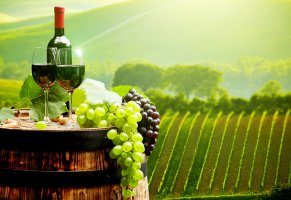 бочка,пробки,поля,бутылка,бокалы,плантации,вино,виноград